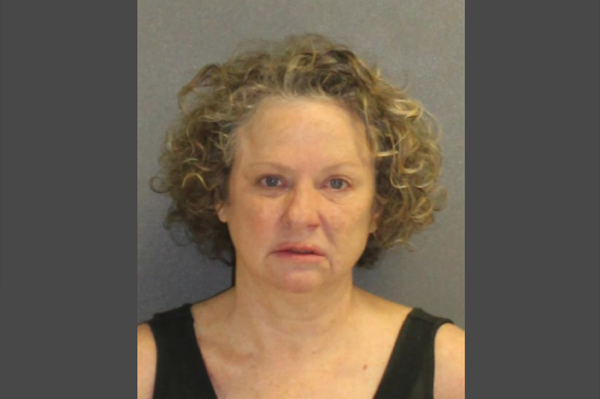 Mugshot of Julie Edwards, who was charged with driving under the influence, resisting an officer without violence, making threats against a law enforcement officer and refusing to submit for testing. Mugshot of Julie Edwards, who was charged with driving under the influence, resisting an officer without violence, making threats against a law enforcement officer and refusing to submit for testing. - Sputnik International