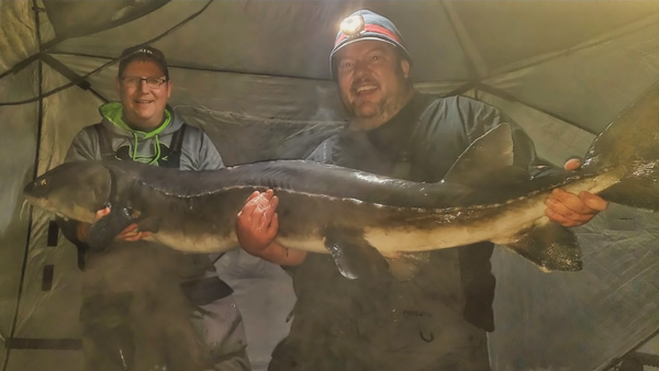 Minnesota Fishermen Catch 78-Inch Sturgeon - Sputnik International
