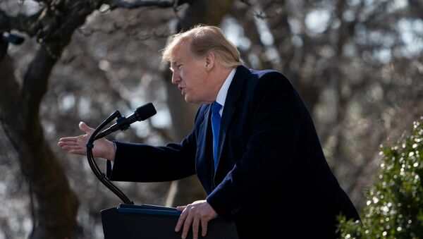 US President Donald Trump speaks about a state of emergency from the Rose Garden of the White House February 15, 2019 in Washington, DC. - Sputnik International