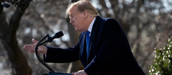US President Donald Trump speaks about a state of emergency from the Rose Garden of the White House February 15, 2019 in Washington, DC. US President Donald Trump speaks about a state of emergency from the Rose Garden of the White House February 15, 2019 in Washington, DC. - Sputnik International