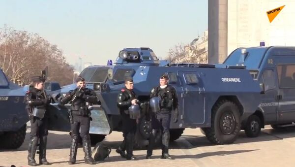 Police During Yellow Vests Protests, 14th Week - Sputnik International