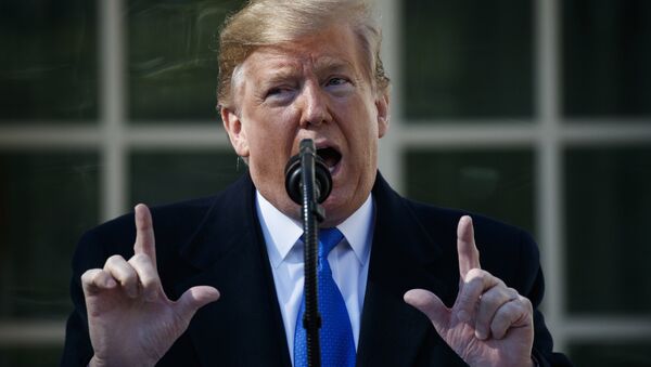 President Donald Trump speaks during an event in the Rose Garden at the White House to declare a national emergency in order to build a wall along the southern border, Friday, Feb. 15, 2019, in Washington - Sputnik International