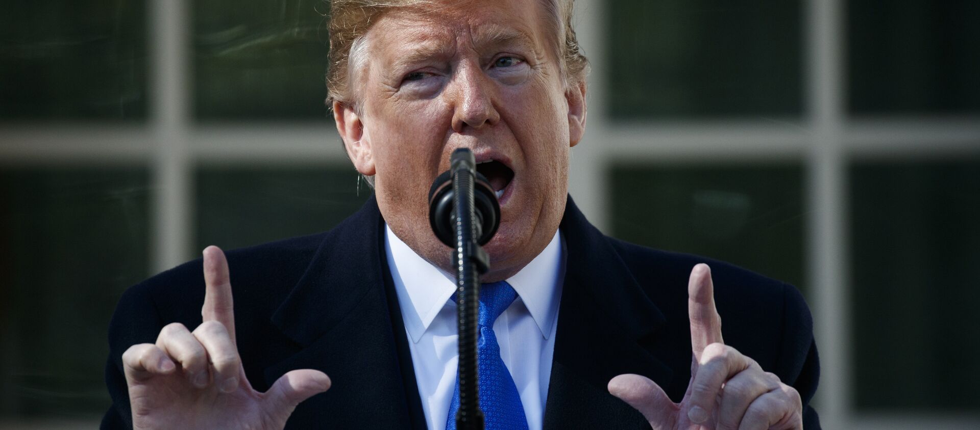 President Donald Trump speaks during an event in the Rose Garden at the White House to declare a national emergency in order to build a wall along the southern border, Friday, Feb. 15, 2019, in Washington - Sputnik International, 1920, 17.03.2019