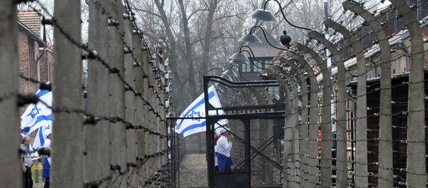 Participants with Israeli flags pass a barbed wire fence at the former Nazi German Auschwitz-Birkenau death camp during the 'March of the Living' at in Oswiecim, Poland on April 16, 2015 Participants with Israeli flags pass a barbed wire fence at the former Nazi German Auschwitz-Birkenau death camp during the 'March of the Living' at in Oswiecim, Poland on April 16, 2015 - Sputnik International