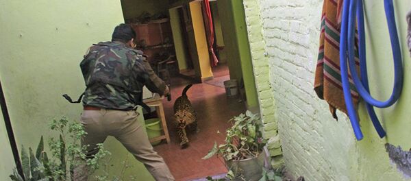 Recognition Encourages One to Sustain Hard Times: Stenin Photo Contest Winner - Sputnik International