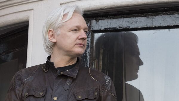 WikiLeaks' founder Julian Assange - Sputnik International