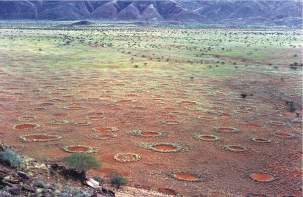 Riddle of Mysterious ‘Fairy Circles’ in Australian Desert Solved Using 1950's Alan Turing Theory Riddle of Mysterious ‘Fairy Circles’ in Australian Desert Solved Using 1950's Alan Turing Theory - Sputnik International