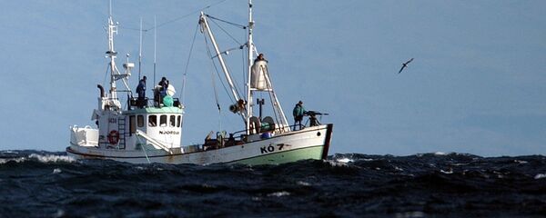 The whaling boat 'Njordur', prepares to fire a harpoon at a minke whale, Friday, Aug. 22, 2003 in the Atlantic Ocean off the west coast of Iceland. The Icelandic government has given permission for 38 whales to be caught for scientific reasons within the next two months. - Sputnik International