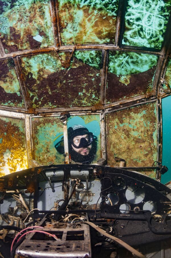 Under the Sea: Underwater Photographer of the Year 2019 - Sputnik International
