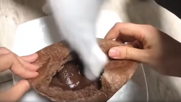 Chocolate Wasted: Cheeky Cat Ruins Owner’s Dessert - Sputnik International