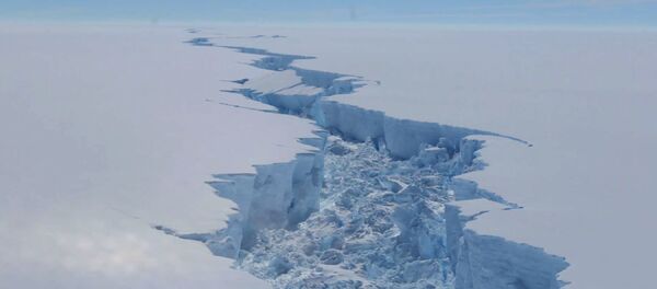 A screengrab made on July 14, 2017 from a video released by the British Antarctic Survey shows the rift in the Larsen C Ice Shelf, on the Antartic Peninsula, in February 2017. A screengrab made on July 14, 2017 from a video released by the British Antarctic Survey shows the rift in the Larsen C Ice Shelf, on the Antartic Peninsula, in February 2017. - Sputnik International