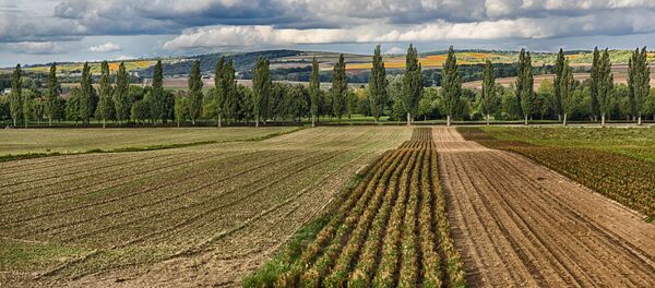 Land in Austria Land in Austria - Sputnik International