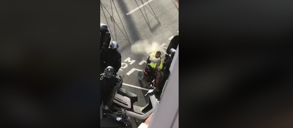 French Cops Pepper-Spray Yellow Vest Protester in Wheelchair - Sputnik International