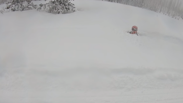 Deceptive Snow Mound Brings Snowmobiler to Abrupt Halt - Sputnik International