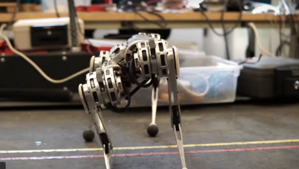 MIT’s Four-Legged ‘Mini Cheetah’ Robot Climbs, Runs, Backflips - Sputnik International