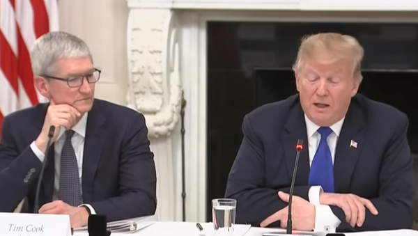 US President Donald Trump and Apple CEO Tim Cook at a press conference in which Trump called Cook Tim Apple. Cook spoke at the White House on Wednesday about the various people they've been employing at the company and how half of their U.S. employees don't have four year degrees. - Sputnik International