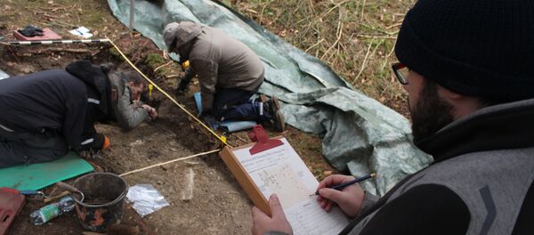 Excavation in the Langenbachtal near Warstein Excavation in the Langenbachtal near Warstein - Sputnik International
