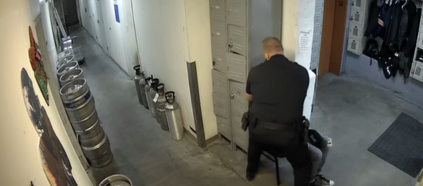 Denver cop punches man unconscious - Sputnik International