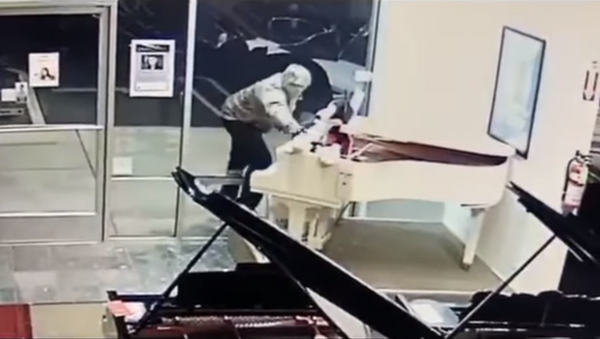 US Man Shatters Window, Steals Stuffed Mickey Mouse from Piano Shop - Sputnik International