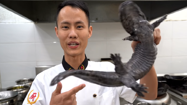 Chinese cooking star Wang Gang has provoked uproar on YouTube after he released a video of him killing and chopping up a rare giant salamander on camera - Sputnik International