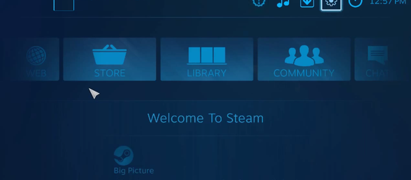 Default home screen for SteamOS - Sputnik International