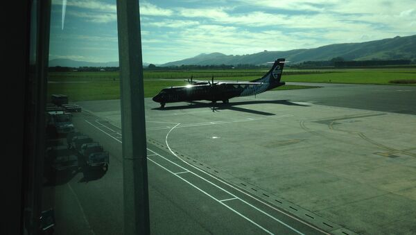 Dunedin Airport - Sputnik International