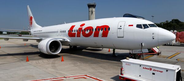 Lion Air's Boeing 737 Max 8 airplane - Sputnik International