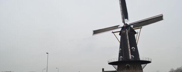 Dutch provincial election - Sputnik International