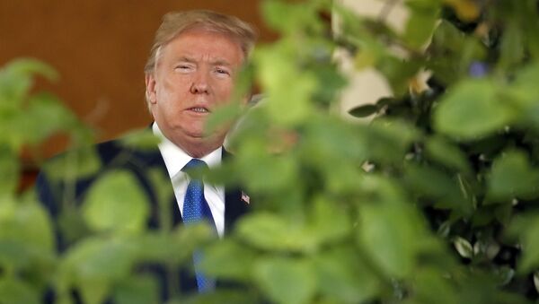 US President Donald Trump steps out of the Oval Office - Sputnik International