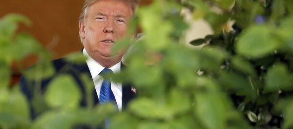 US President Donald Trump steps out of the Oval Office  - Sputnik International