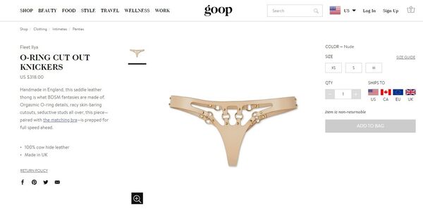 A screen from the Goop webpage displaying the o-ring cut out knickers - Sputnik International
