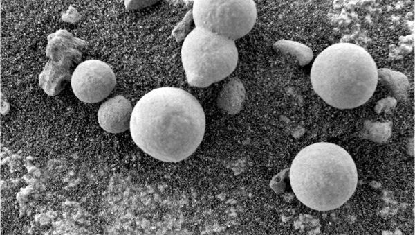 Scientists believe Curiosity Rover may have captured images of mushrooms - Sputnik International