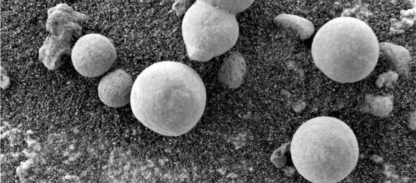 Scientists believe Curiosity Rover may have captured images of mushrooms Scientists believe Curiosity Rover may have captured images of mushrooms - Sputnik International