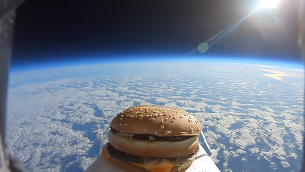 McDonald's Big Mac in Space - Sputnik International