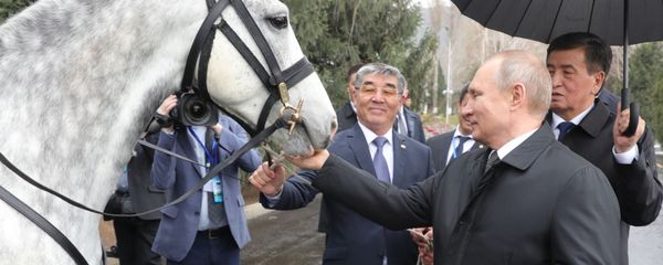 Surprise for Mr President: Tigers, Horses and Dogs Presented to Putin - Sputnik International