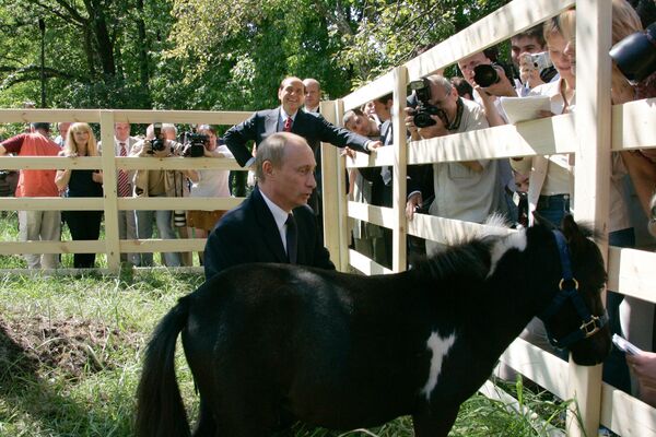 Surprise for Mr President: Tigers, Horses and Dogs Presented to Putin - Sputnik International