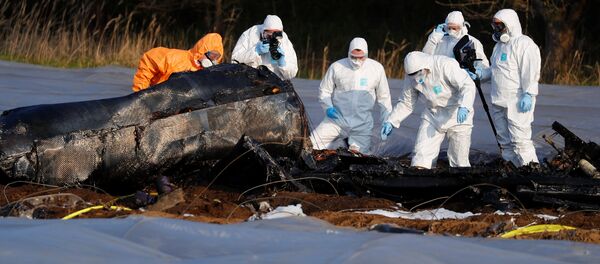 Police and forensic experts work next to the remains of a small plane that crashed near Erzhausen, Germany April 1, 2019 Police and forensic experts work next to the remains of a small plane that crashed near Erzhausen, Germany April 1, 2019 - Sputnik International