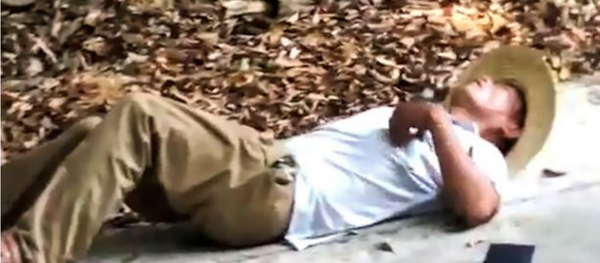 Man Bitten, Killed by King Cobra While Posing for Photo Man Bitten, Killed by King Cobra While Posing for Photo - Sputnik International