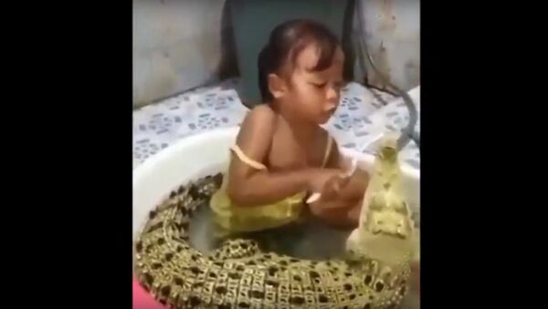 Fearless little girl brushes crocodile's teeth during bath - Sputnik International