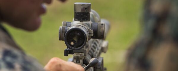 Shooting target - Sputnik International