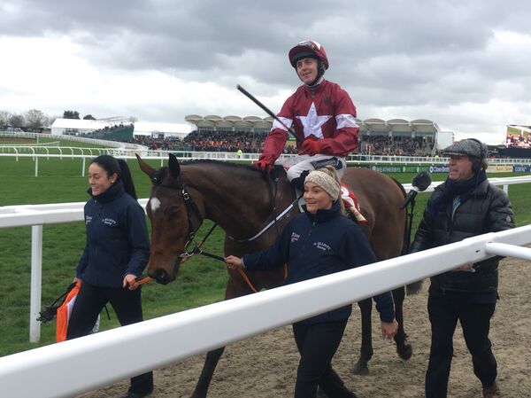 Tiger Roll, the favourite for Saturday’s Grand National  - Sputnik International