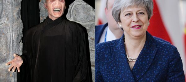 A collage showing fictional character Voldemort (L) and the UK PM Theresa May (R) A collage showing fictional character Voldemort (L) and the UK PM Theresa May (R) - Sputnik International