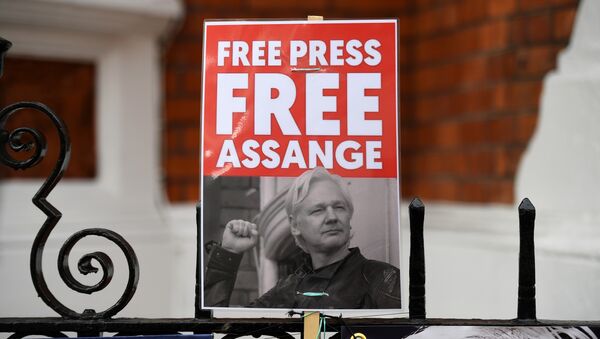 A supporter of WikiLeaks founder Julian Assange holds a placard outside the Ecuadorian Embassy in London on April 5, 2019 - Sputnik International