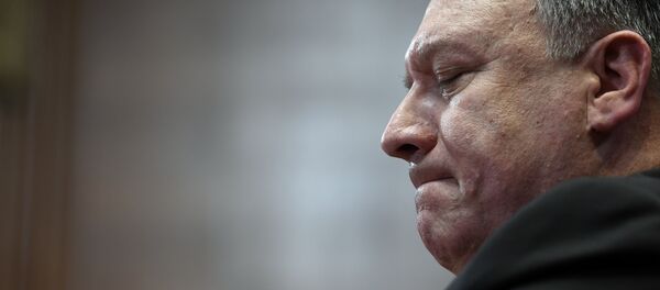 Secretary of State Mike Pompeo testifies before the Senate Appropriations subcommittee on Capitol Hill in Washington, Tuesday, April 9, 2019, about the FY'20 budget - Sputnik International