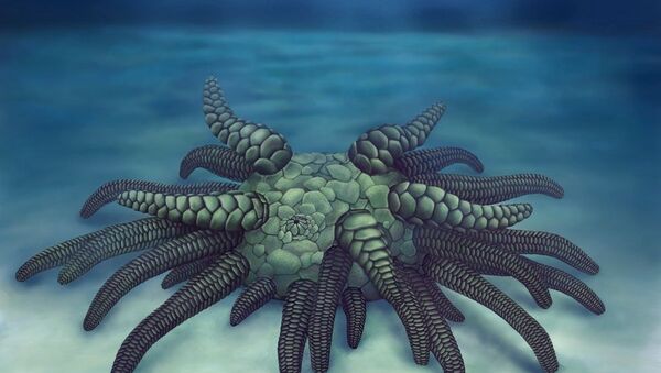 An artist's rendition of the new species, named Sollasina cthulhu after H.P. Lovecraft's mythical beast - Sputnik International