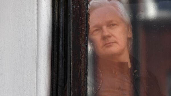 In this file photo taken on May 19, 2017, Wikileaks founder Julian Assange peers through the window prior to speaking on the balcony of the Embassy of Ecuador in London - Sputnik International