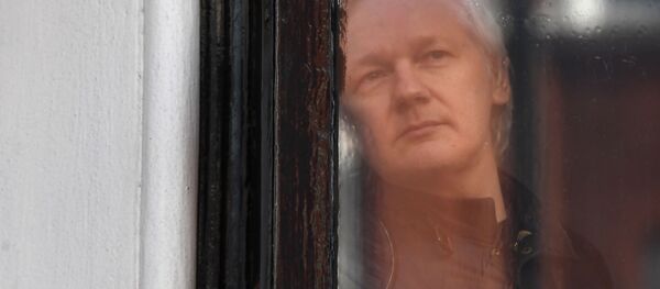 In this file photo taken on May 19, 2017, Wikileaks founder Julian Assange peers through the window prior to speaking on the balcony of the Embassy of Ecuador in London In this file photo taken on May 19, 2017, Wikileaks founder Julian Assange peers through the window prior to speaking on the balcony of the Embassy of Ecuador in London - Sputnik International