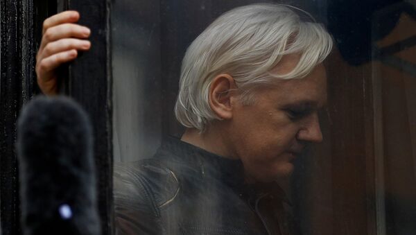  WikiLeaks founder Julian Assange is seen on the balcony of the Ecuadorian Embassy in London, Britain, May 19, 2017 - Sputnik International