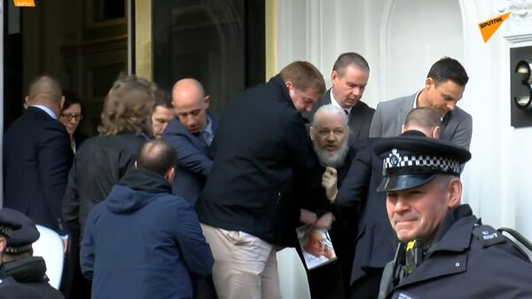 Julian Assange - Sputnik International