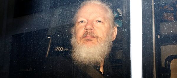 WikiLeaks founder Julian Assange is seen in a police van, after he was arrested by British police, in London, Britain April 11, 2019 WikiLeaks founder Julian Assange is seen in a police van, after he was arrested by British police, in London, Britain April 11, 2019 - Sputnik International
